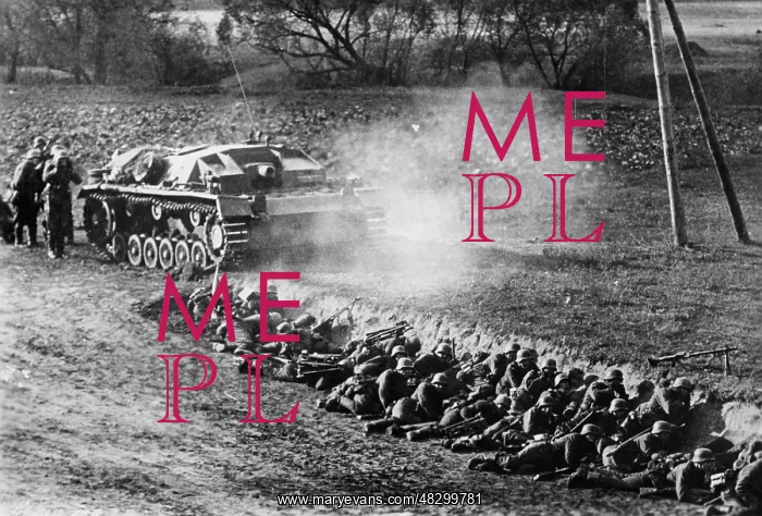 : German Assault Gun III : German Assault Gun III