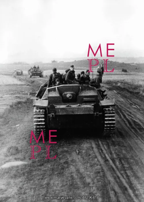 : German Assault Gun III - Eastern Front, 1941 : German Assault Gun III - Eastern Front, 1941