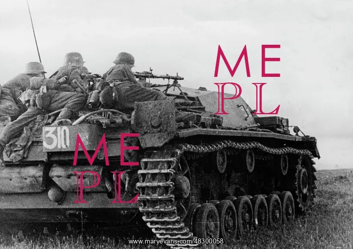 : German assault gun III - Eastern Front, 1941 : German assault gun III - Eastern Front, 1941
