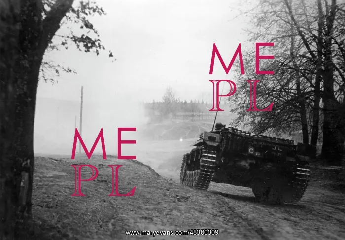 : German assault gun III - Eastern Front, 1941 : German assault gun III - Eastern Front, 1941
