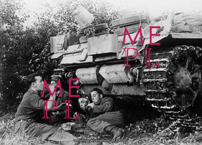 : German assault gun III - Eastern Front, 1941 : German assault gun III - Eastern Front, 1941