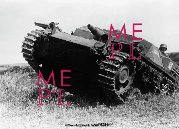 : German assault gun III - Eastern Front, 1941 : German assault gun III - Eastern Front, 1941