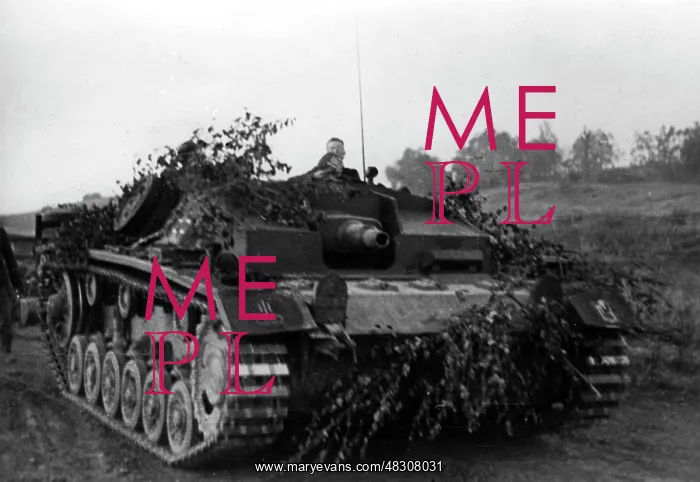 : German assault gun III - Eastern Front, 1941 : German assault gun III - Eastern Front, 1941