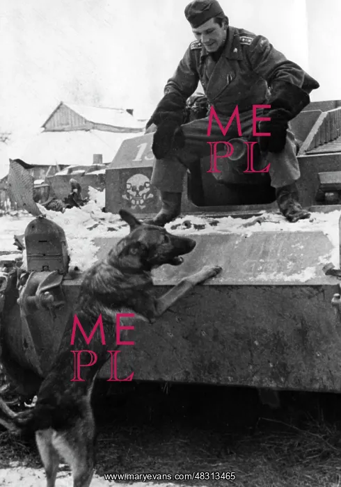 : German assault gun III - Eastern Front, 1942 : German assault gun III - Eastern Front, 1942