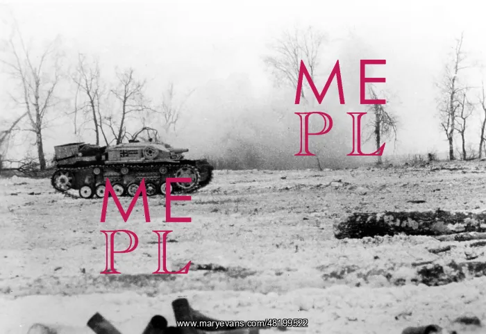 : German assault gun III on the Eastern Front, 1943 : German assault gun III on the Eastern Front, 1943
