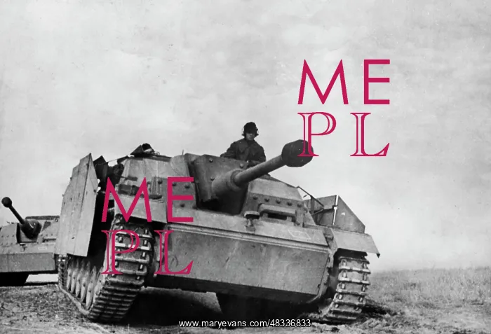 : German Assault Gun III - Eastern Front, 1943 : German Assault Gun III - Eastern Front, 1943