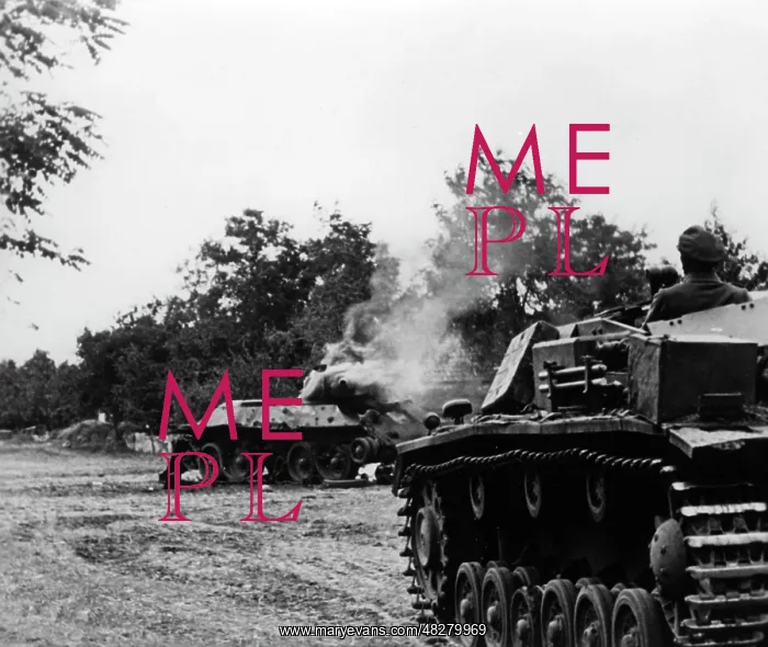 : German assault gun III in Taganrog, 1941 : German assault gun III in Taganrog, 1941