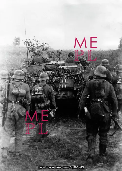 : German assault gun and infantry on the Eastern Front, 1941 : German assault gun and infantry on the Eastern Front, 1941