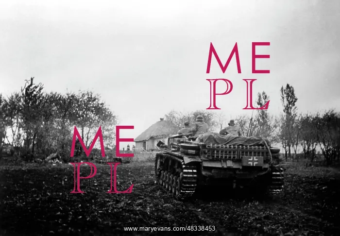 : German assault gun in the southern section : German assault gun in the southern section