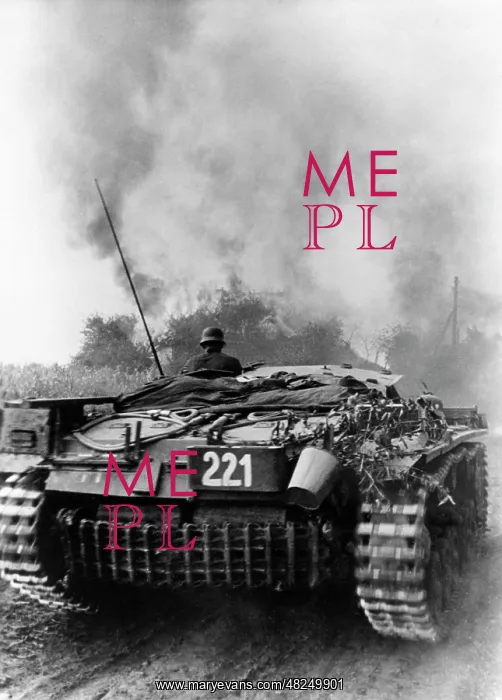 : German assault guns on the advance on the Eastern Front : German assault guns on the advance on the Eastern Front