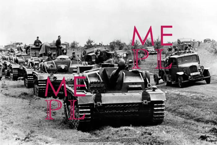 : German assault guns in assembly position, 1942 : German assault guns in assembly position, 1942