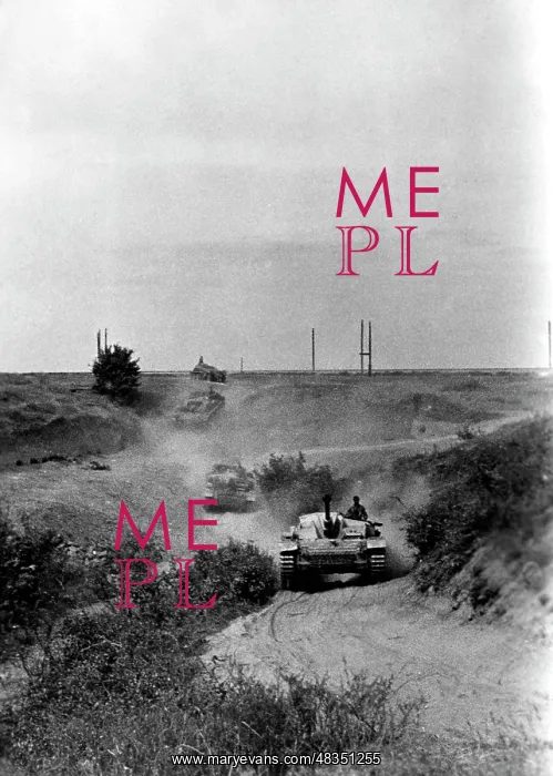 : German assault guns in the forefield of Stalingrad, 1942 : German assault guns in the forefield of Stalingrad, 1942