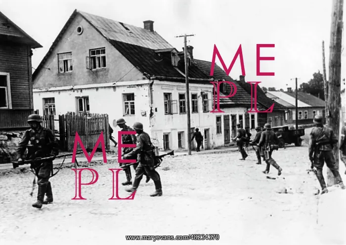 : German assault troop clears a village on the Eastern Front : German assault troop clears a village on the Eastern Front