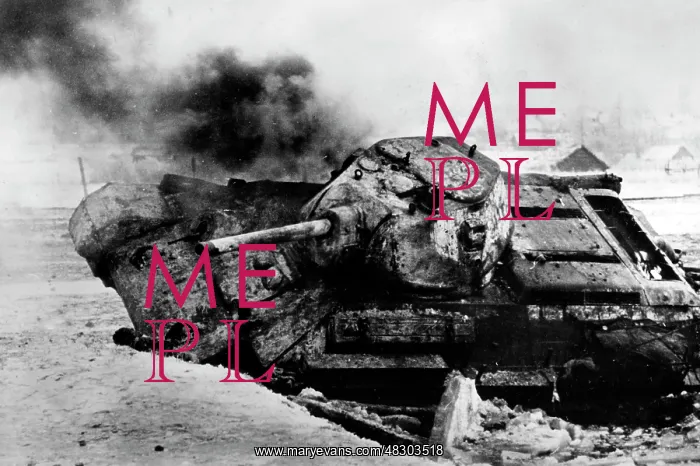 : German attack on Moscow, 1941 : German attack on Moscow, 1941