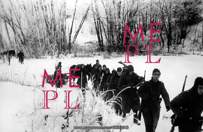 : German attack on Moscow, 1941 : German attack on Moscow, 1941