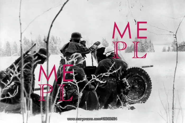 : German attack on Moscow, 1941 : German attack on Moscow, 1941