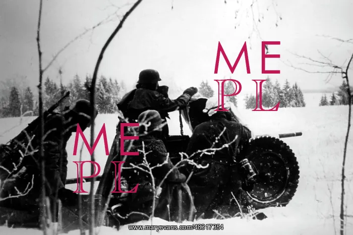 : German attack on Moscow, 1941 : German attack on Moscow, 1941