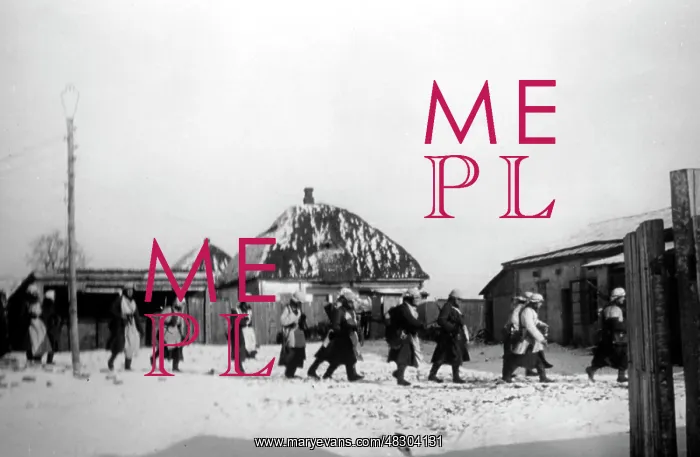 : German attack on Moscow, December 1941 : German attack on Moscow, December 1941