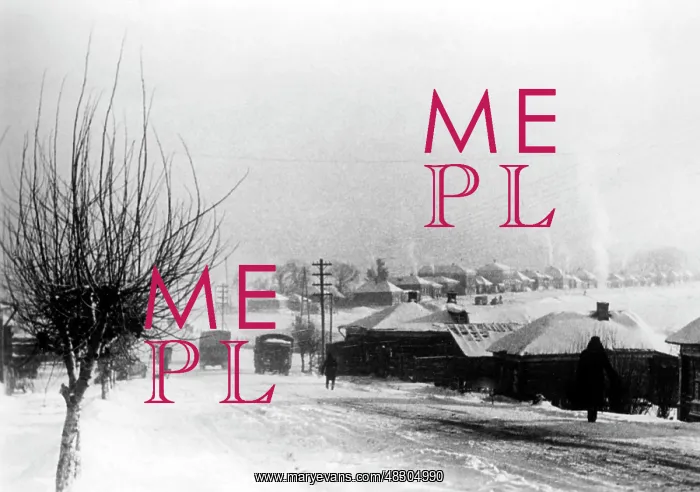 : German attack on Moscow, December 1941 : German attack on Moscow, December 1941