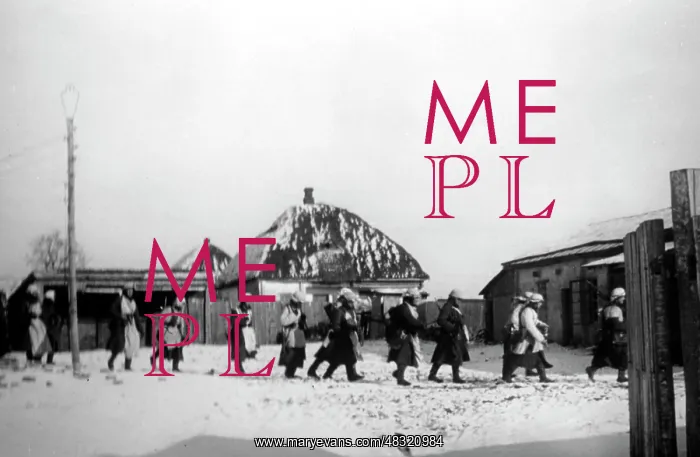 : German attack on Moscow, December 1941 : German attack on Moscow, December 1941