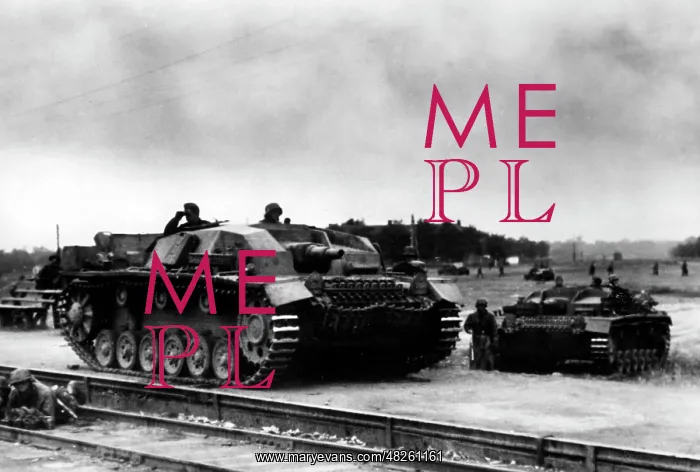: German attack on Moscow, November 1941 : German attack on Moscow, November 1941