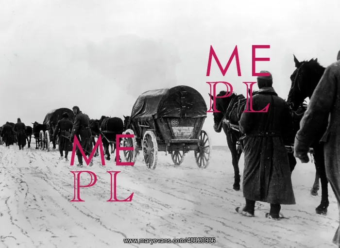 : German attack on Moscow, November 1941 : German attack on Moscow, November 1941