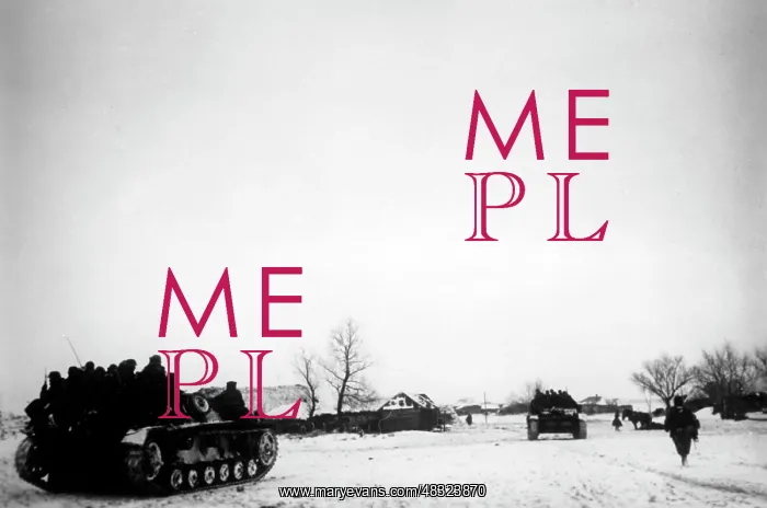 : German attack on Moscow, November 1941 : German attack on Moscow, November 1941