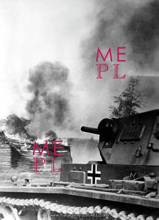 : German attack on Moscow, November 1941 : German attack on Moscow, November 1941