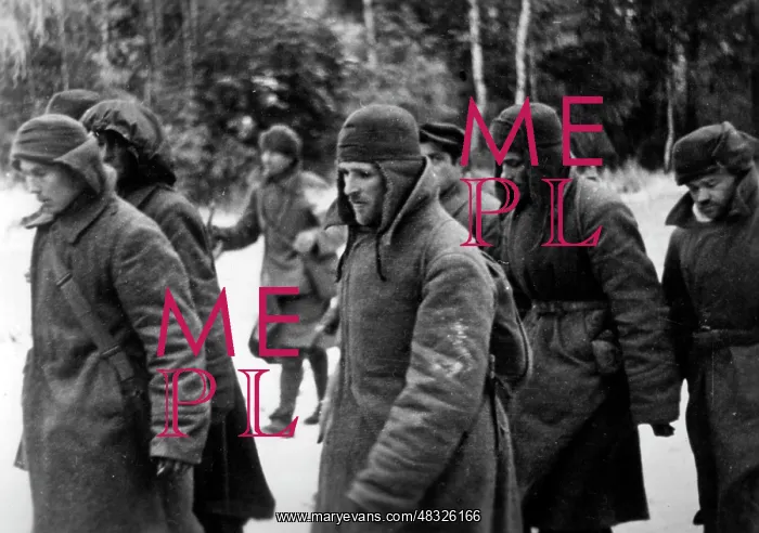: German attack on Moscow, November 1941 : German attack on Moscow, November 1941