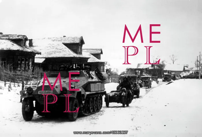 : German attack on Moscow, November 1941 : German attack on Moscow, November 1941