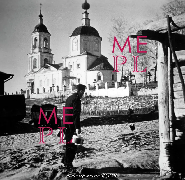 : German attack on Moscow, November 1941 : German attack on Moscow, November 1941
