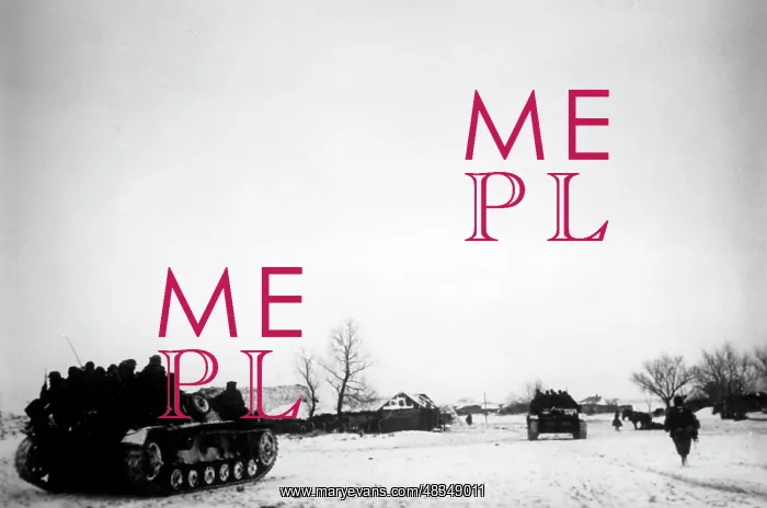 : German attack on Moscow, November 1941 : German attack on Moscow, November 1941