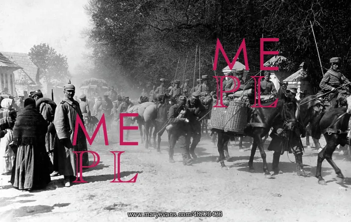 : German and Austro-Hungarian troops on the march to the San : German and Austro-Hungarian troops on the march to the San