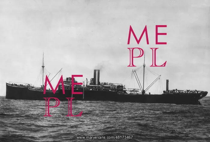 : German auxiliary ship SMS Wolf, 1918 : German auxiliary ship SMS Wolf, 1918