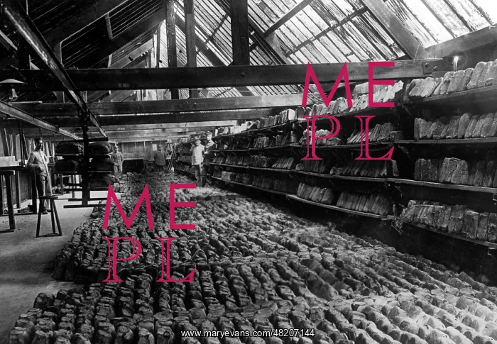 : German bakery behind the front, 1916 : German bakery behind the front, 1916
