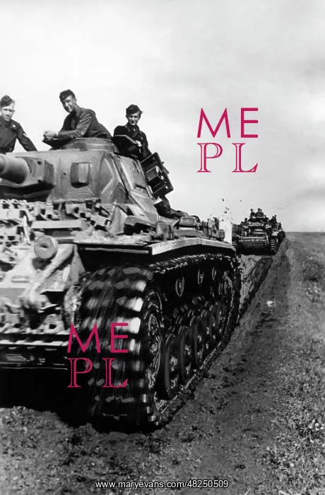 : German battle tanks on the Eastern Front, 1941 : German battle tanks on the Eastern Front, 1941