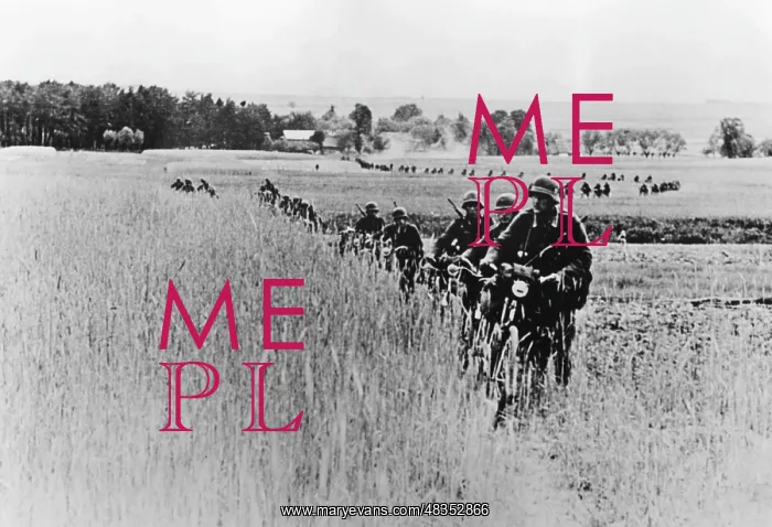 : German bicycle company marching on the Eastern front, 1941 : German bicycle company marching on the Eastern front, 1941