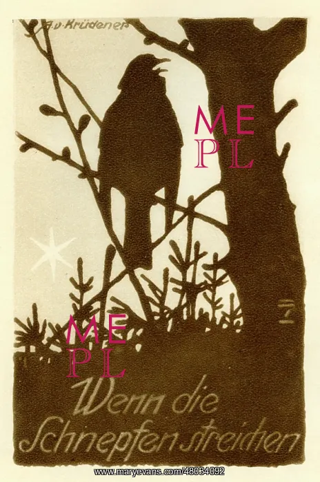 : A German bird book cover : A German bird book cover