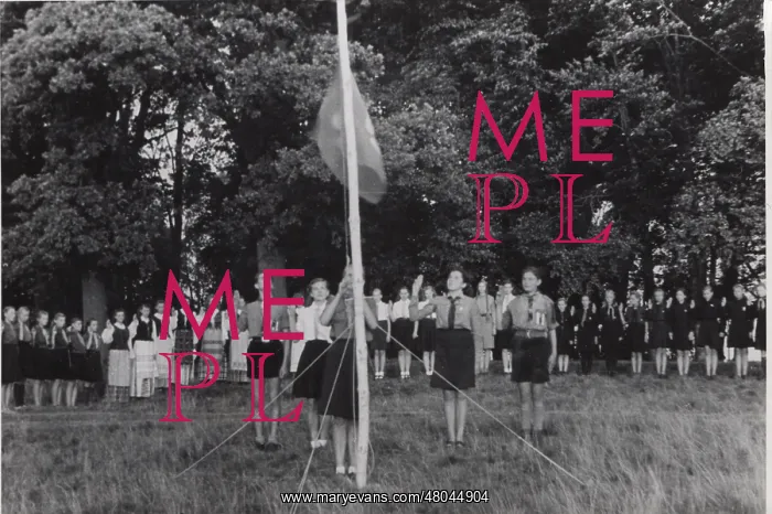 : German boy scouts saluting Guide flag at camp : German boy scouts saluting Guide flag at camp