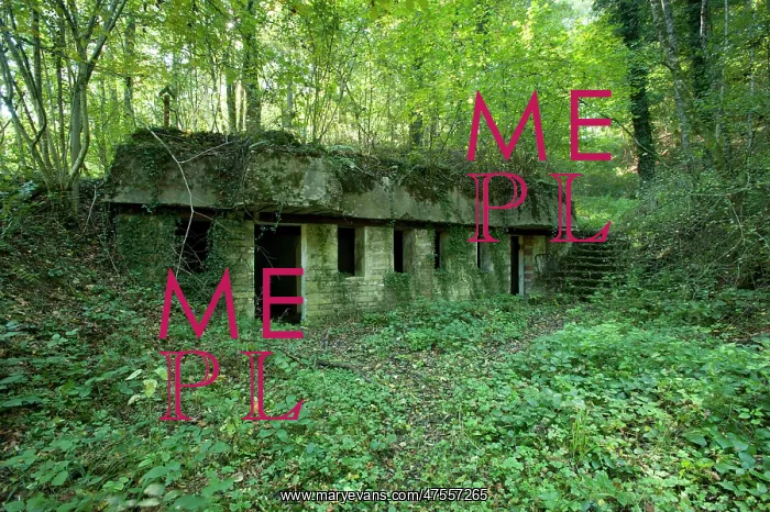 : German Bunker - Binarville - Argonne : German Bunker - Binarville - Argonne
