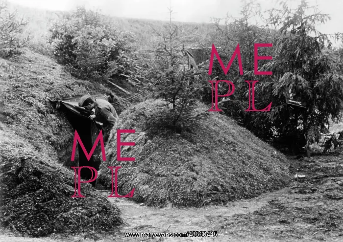 : German bunker on the eastern front, 1941 : German bunker on the eastern front, 1941