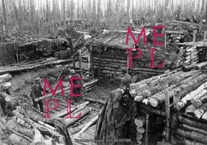 : German bunker on the Eastern Front, 1942 : German bunker on the Eastern Front, 1942