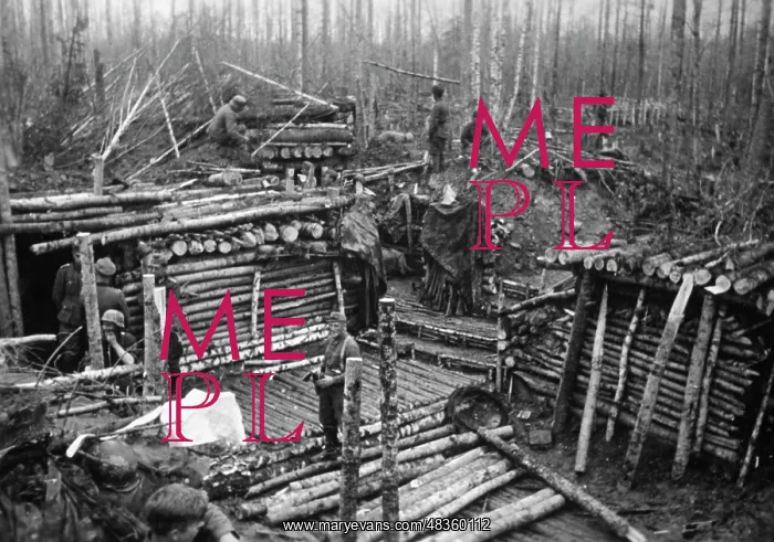 : German bunker on the Eastern Front, 1942 : German bunker on the Eastern Front, 1942