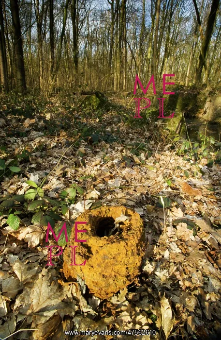 : German Bunker In Shrewsbury Forest : German Bunker In Shrewsbury Forest