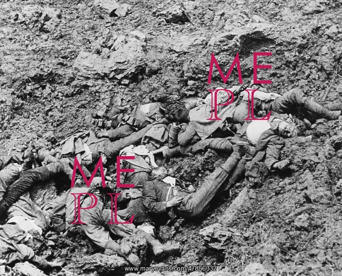 : German casualties 1916 : German casualties 1916