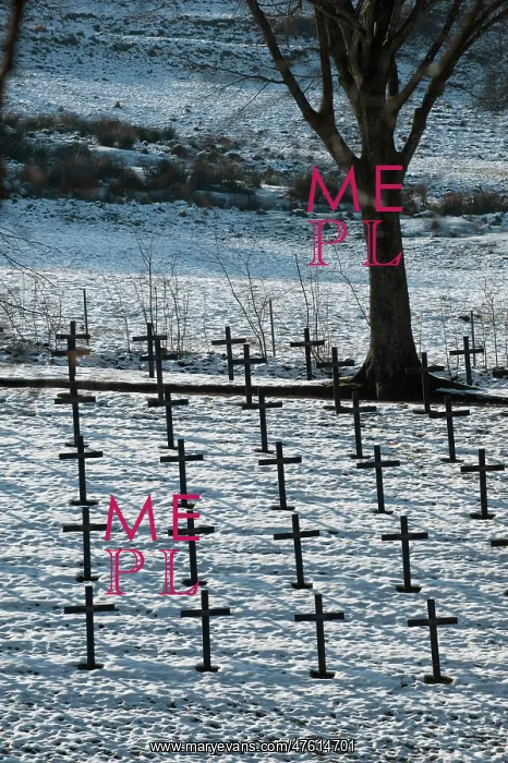 : German Cemetery : German Cemetery