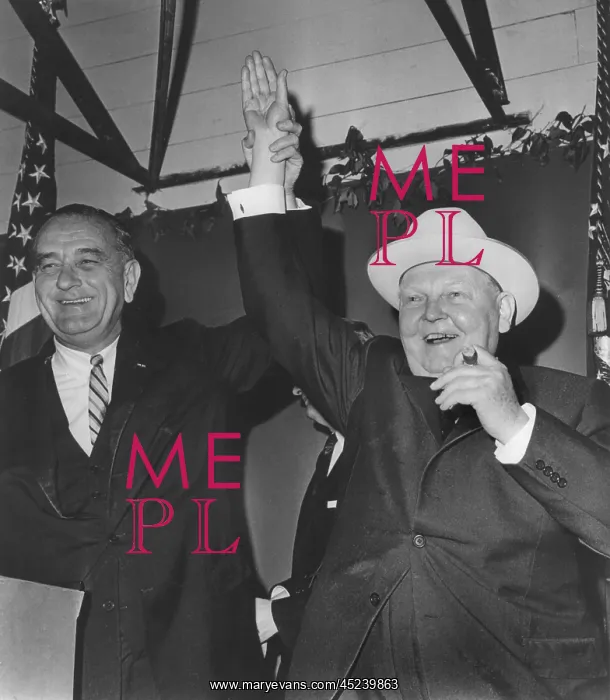 : German chancellor Erhard in the USA : German chancellor Erhard in the USA