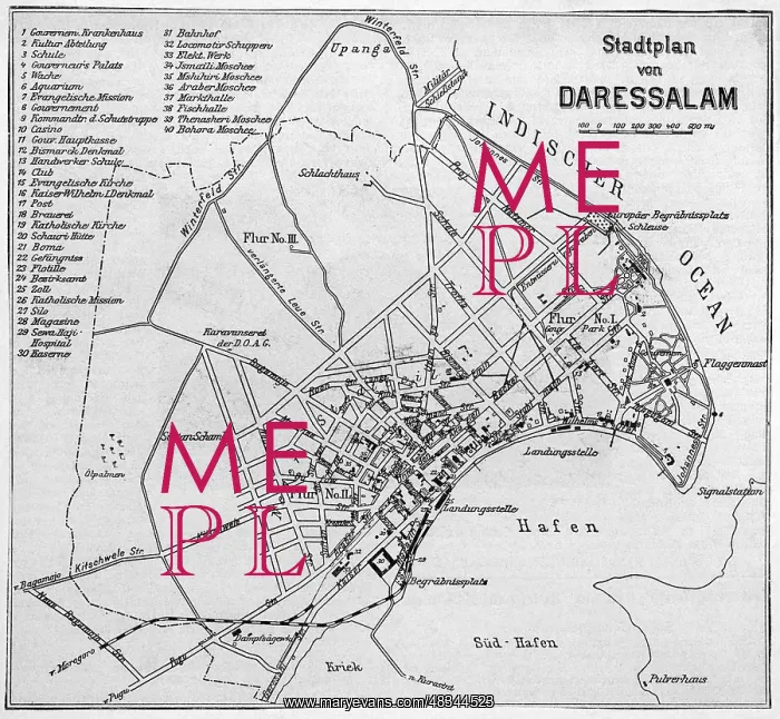 : German city map of Dar es Salaam, 1910 : German city map of Dar es Salaam, 1910