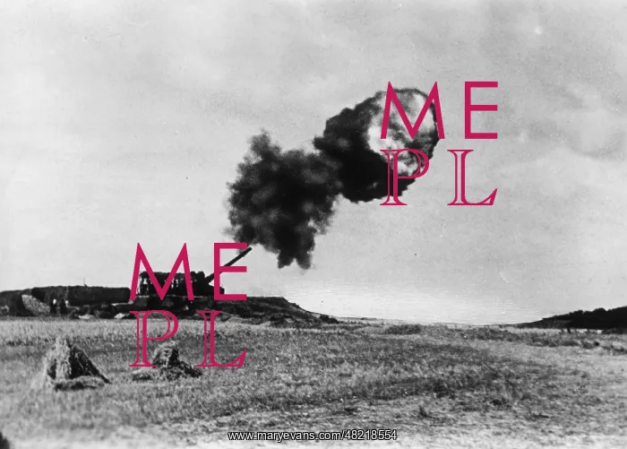 : German coast artillery at the Atlantic Wall : German coast artillery at the Atlantic Wall