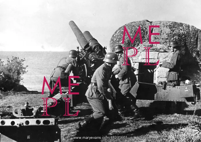 : German coastal artillery on the Atlantic Wall : German coastal artillery on the Atlantic Wall